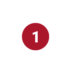icon1
